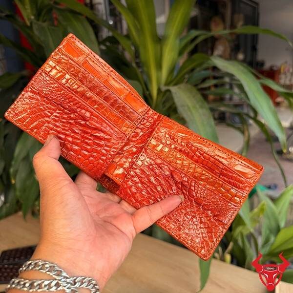 í nam da cá sấu gai lưng bền bỉ.