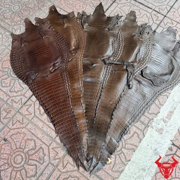 Da Bụng Cá Sấu Nguyên Tấm Màu Nâu Đen Bền Đẹp Sang Trọng Da bụng cá sấu nguyên tấm Size 3 màu nâu đen có vân đều, ít sẹo, phù hợp chế tác đồ da cao cấp.