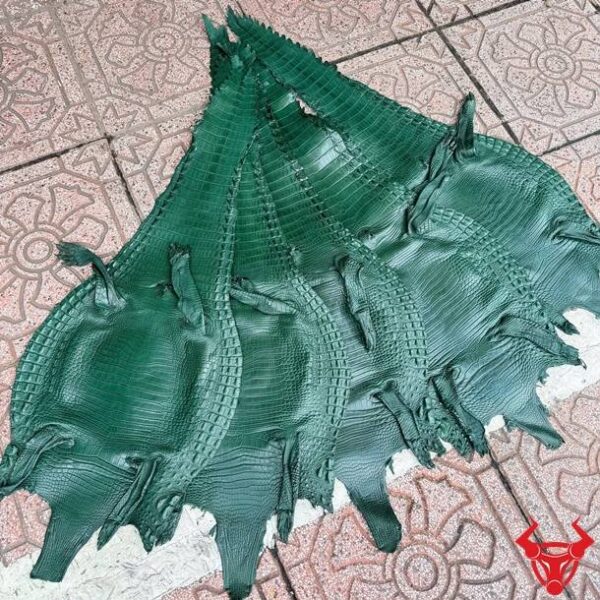 Da Bụng Cá Sấu Size 3 Lớn Màu Xanh Lá Vân Đều Ít Sẹo Tấm da bụng cá sấu Size 3 lớn màu xanh lá với vân đều, ít sẹo, phù hợp chế tác đồ da cao cấp.