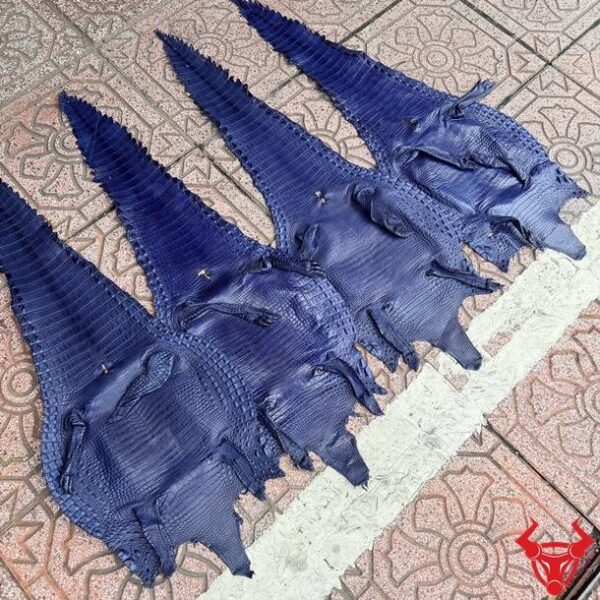 Da Bụng Cá Sấu Size 3 Lớn Xanh Navy Chất Lượng Cao Da bụng cá sấu nguyên tấm Size 3 màu xanh navy với bề mặt vân đều, ít sẹo và độ bền cao.