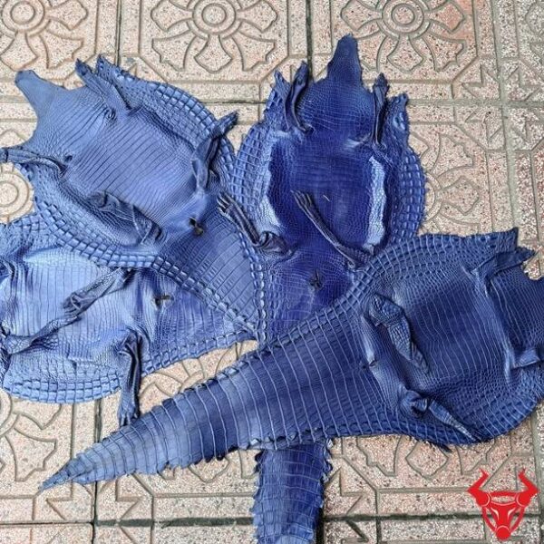 Da Bụng Cá Sấu Nguyên Tấm Size 3 Lớn Màu Xanh Navy Cao Cấp Da bụng cá sấu nguyên tấm Size 3 lớn màu xanh navy với vân da đều, ít sẹo, chất lượng cao cấp.