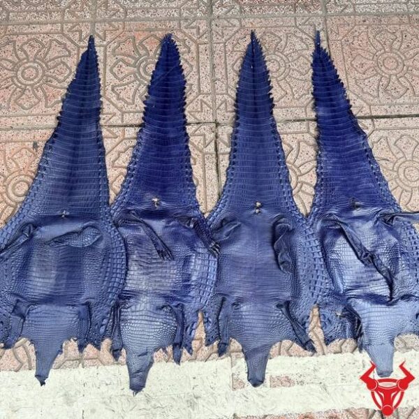 Da Bụng Cá Sấu Nguyên Tấm Màu Xanh Navy Sang Trọng Bền Đẹp